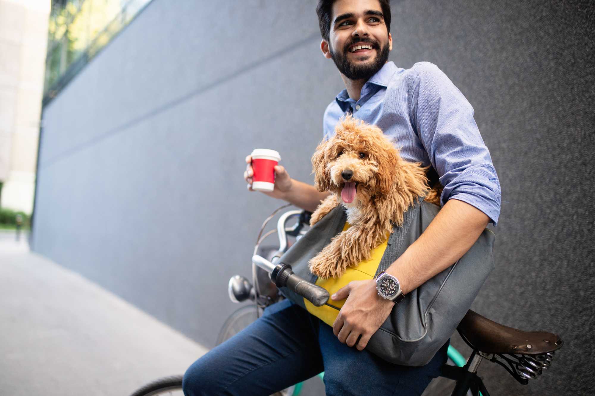 Brindes para pets: por que aderir a essa tendência?